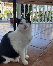 Jellycat see testimonial below