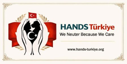 Hands-Turkiye.org