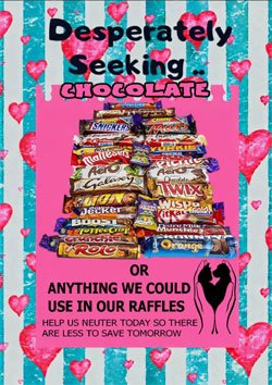 We need Chocolate for our raffle