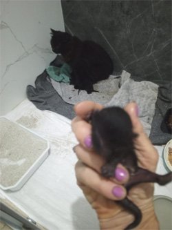 just born