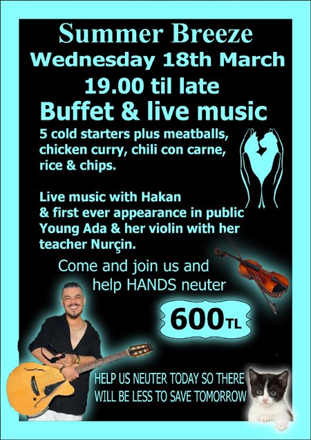 Buffet and live music at Summer Breeze